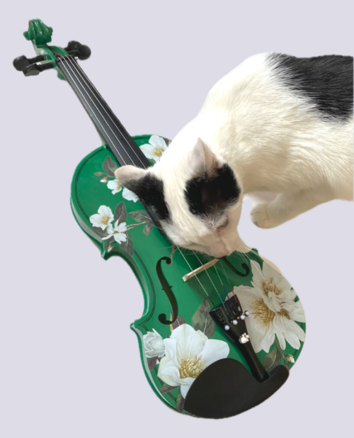 Magnolia Heaven Emerald Green Violin Outfit | Pearl Fine Tuners &